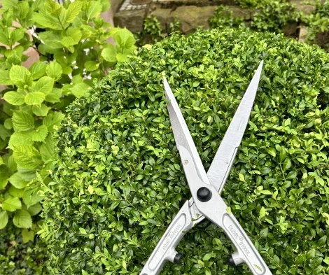 Gartenservice Mark Miess